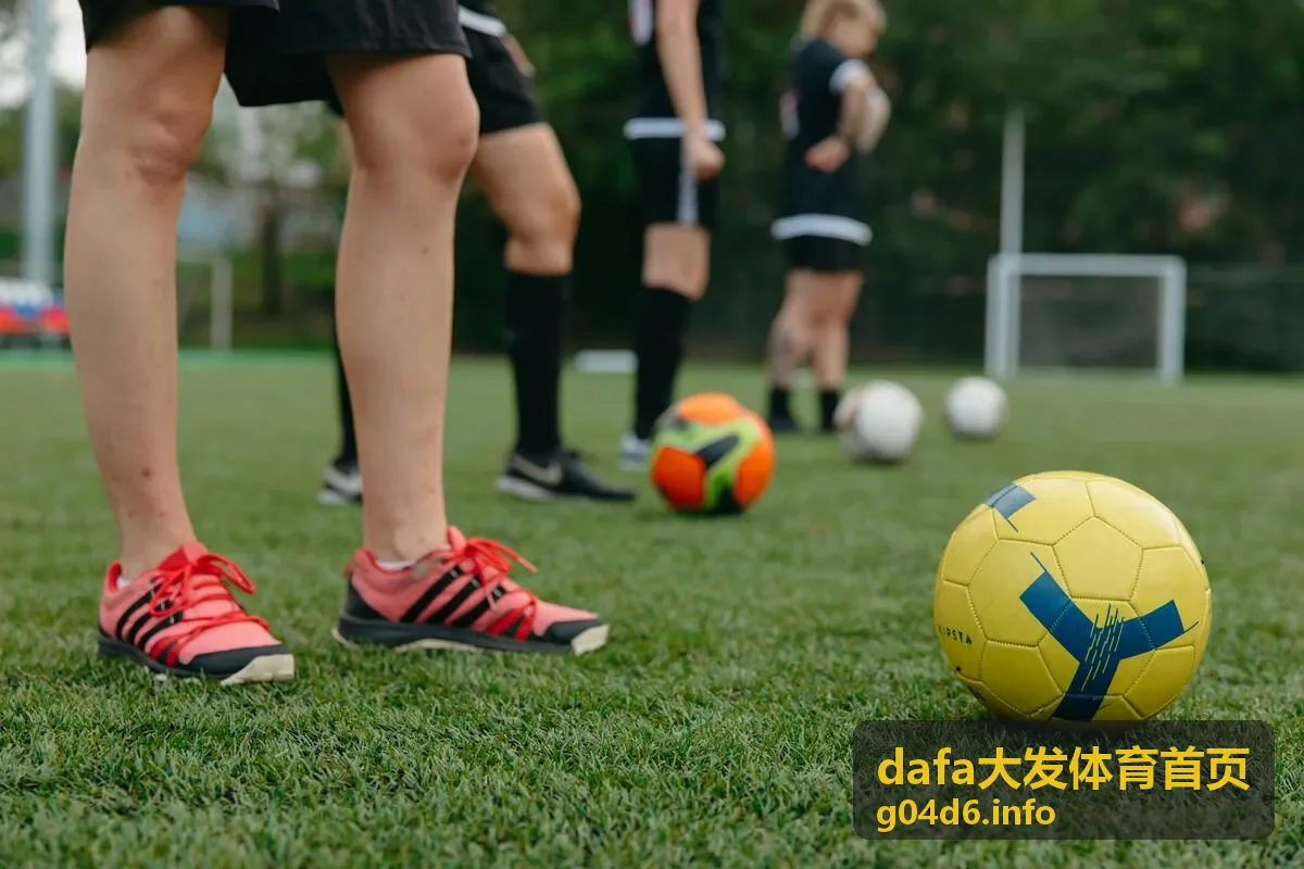 dafa大发体育首页赛事观察入门指南